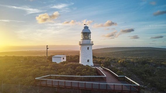 BusseltonTours