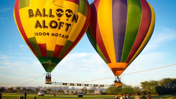 UM Sydney Sydney "Watch the Sunrise on a hot air balloon ride" Enjoy VIP Romantic Life - couple/Parents