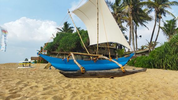 Mount LaviniaExperiences