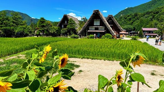 KanazawaTours