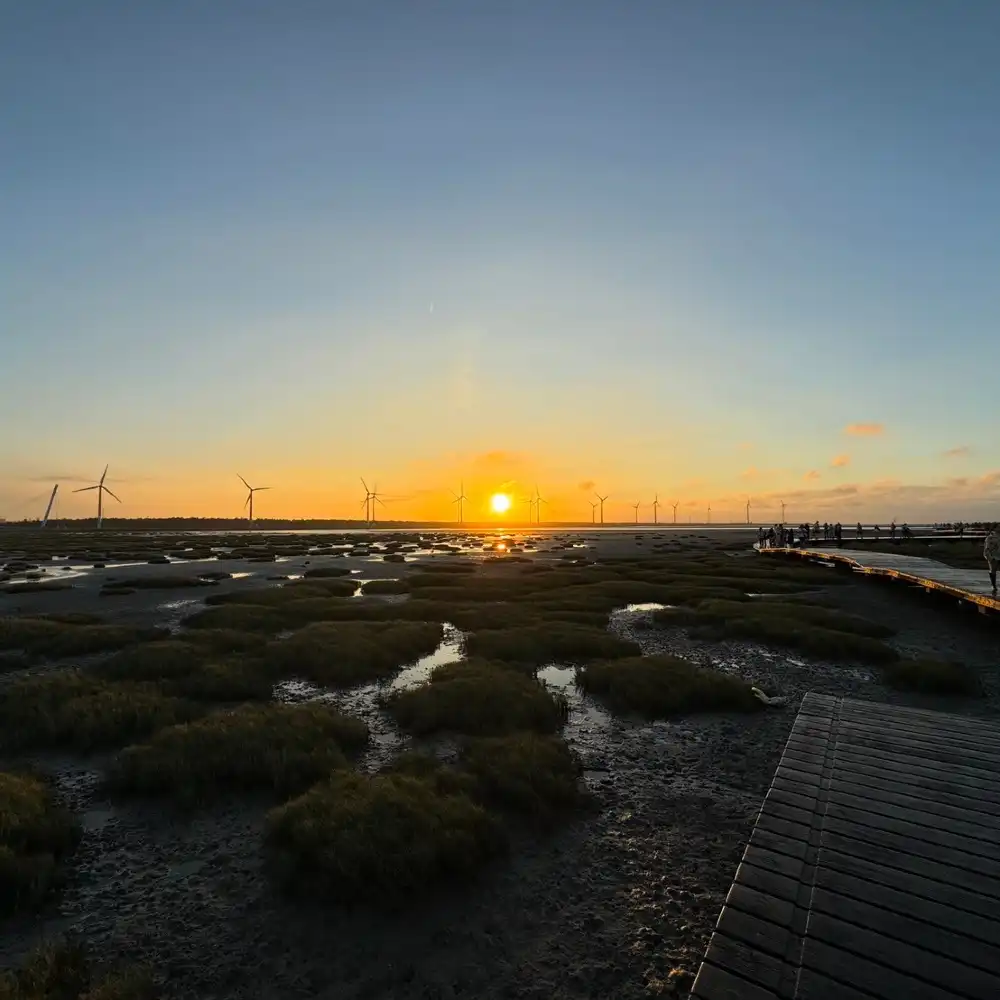 台中中社花市+宮原眼科+高美湿地相乗りワンデーツアー【西門出発