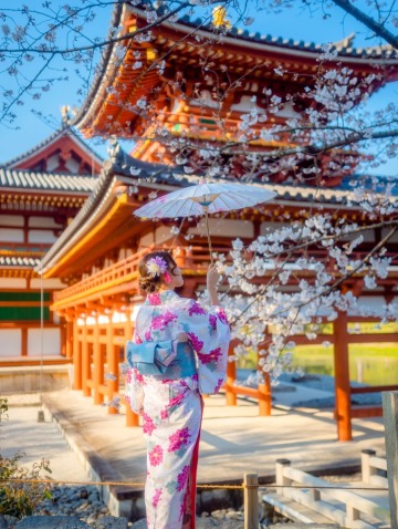 大阪出發 奈良公園+宇治市一日遊，餵萌鹿，嘗抹茶，賞櫻花