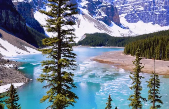 加拿多倫多市區一日遊/行程可調-中文包車