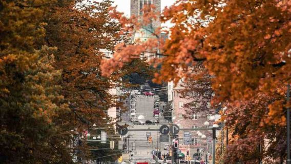 Helsinki Walking Tour