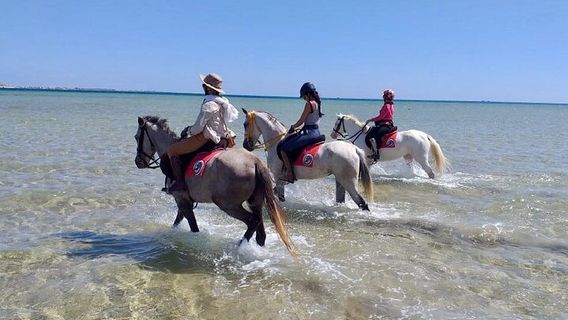 Sharm El SheikhTours