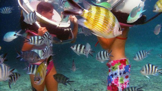Walking under the sea in Mauritius with transfer