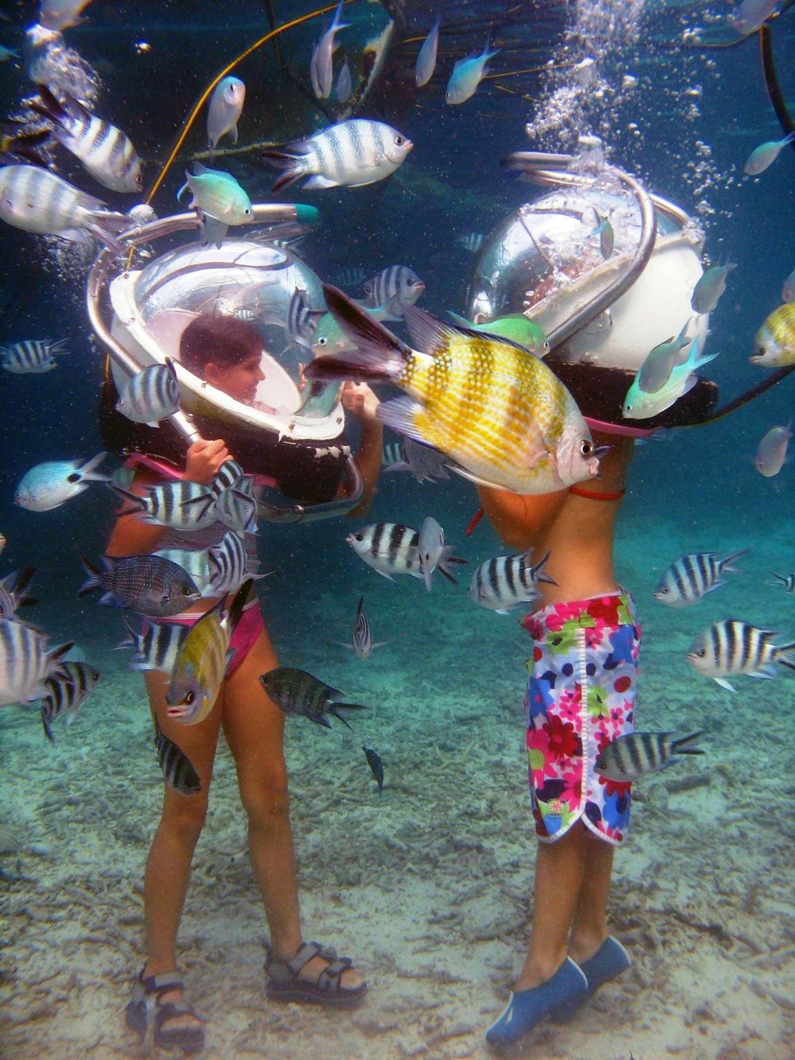 Прогулка по морю на Маврикии с трансфером