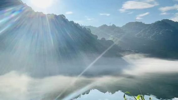 YizhangTours