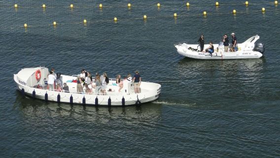 Christmas and Newyear's Cruise (10-50 guests) "drinks included"