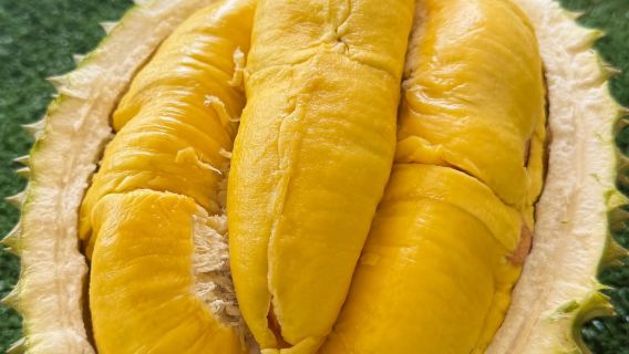 榴槤園+黑風洞鎮+雲頂一日遊【包括纜車票】