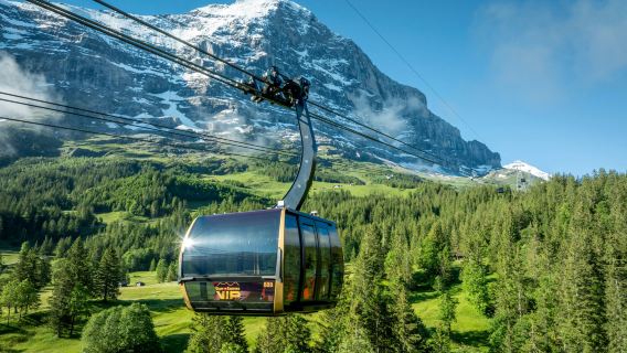 Jungfraujoch Day Tour: Solo Traveler Booking · Trilingual Guide · Flexible Pickup/Drop-off