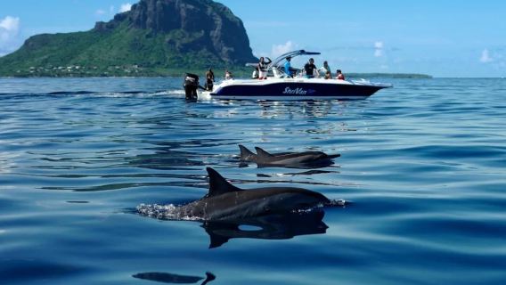 モーリシャス ドルフィン・バイ・スピードボード+ホエールウォッチング+サンゴ礁シュノーケリング【ホテル送迎/相乗り船】