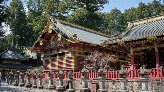 Tokyo to Nikko: Day Trip Custom Day Tour
