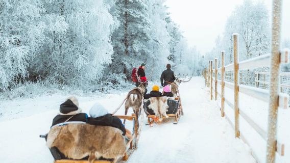 Rovaniemi: Early Winter Reindeer Sleigh Ride 1-2 km