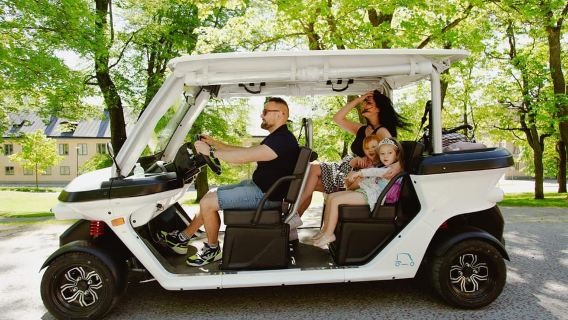 Recorrido en carrito de golf por lo más destacado de Estocolmo