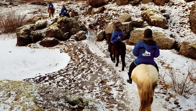 Icelandic Horse Riding
