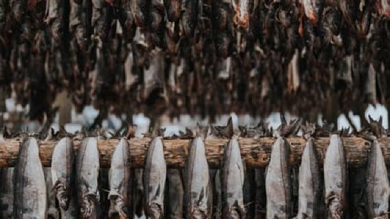 Lofoten Scenic Sightseeing Tour: Half day tour