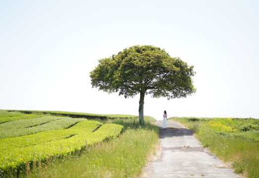 Jeju Island; Full-Day Authentic Tour South Korea: What to Expect