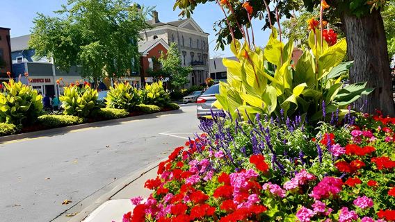 โตรอนโต: ไนแองการา-ออน-เดอะ-เลค ชิมไวน์ และทัวร์ช็อกโกแลต