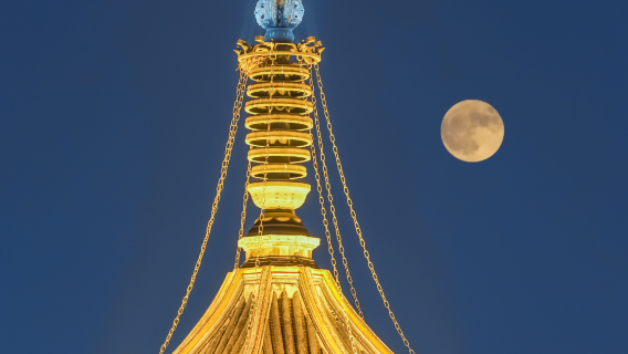 惠山古鎮＋南禪寺＋南長街一日遊【無錫市內 】