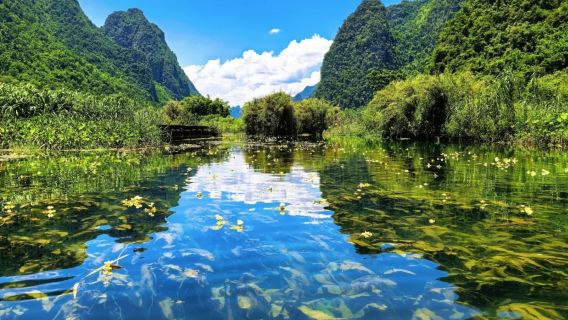 南寧起止—九頓溢流天窗羣—弄響天坑一日遊【上門接送】