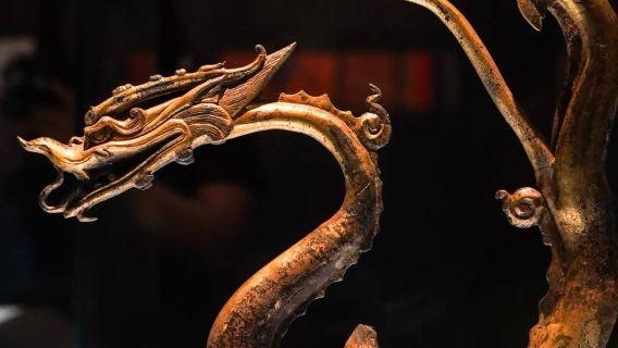 1-day tour of Shaanxi History Museum + Giant Wild Goose Pagoda + City Wall with Chinese/English guide