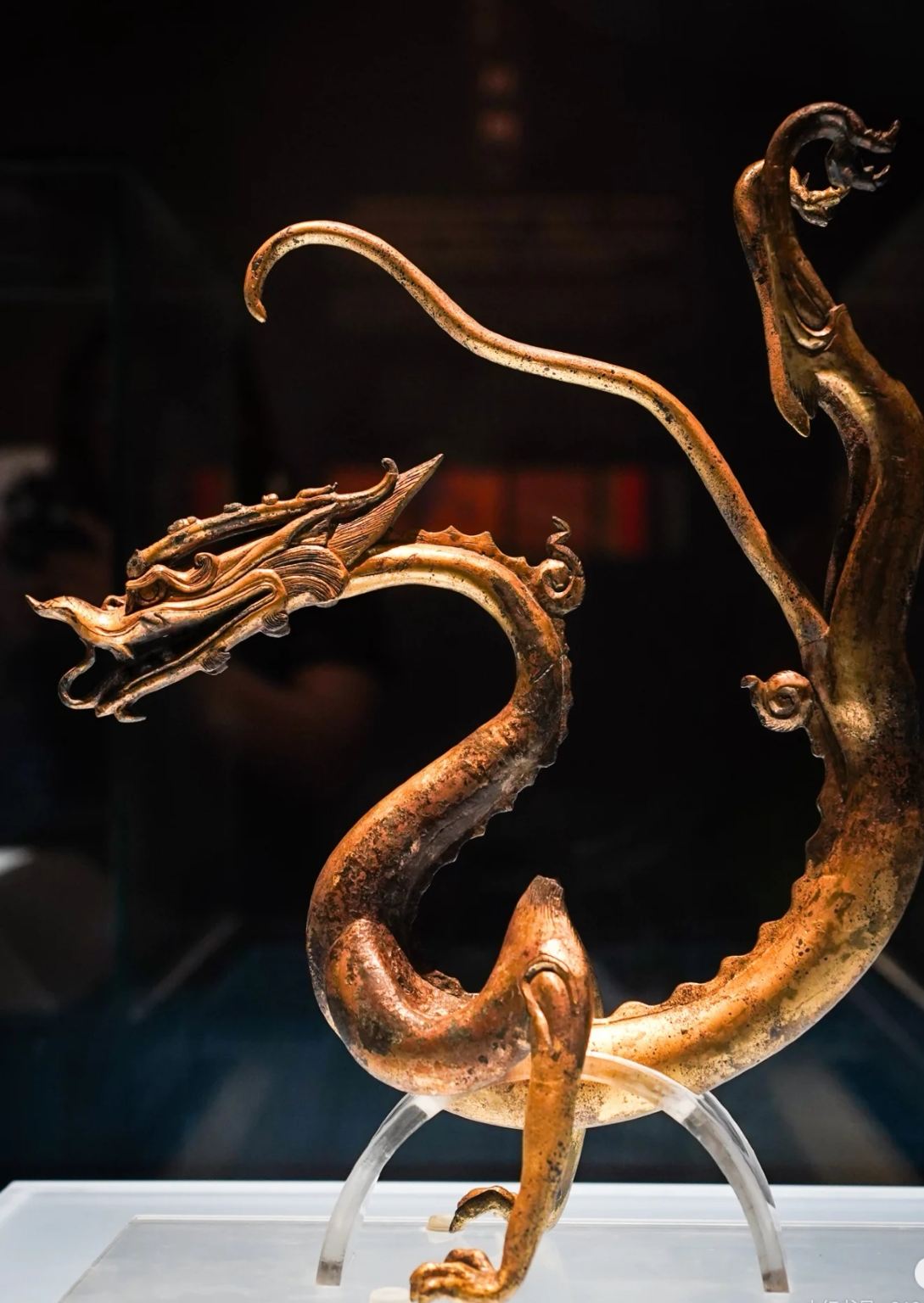 1-day tour of Shaanxi History Museum + Giant Wild Goose Pagoda + City Wall with Chinese/English guide