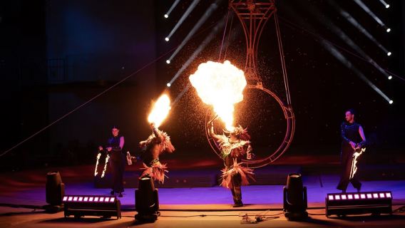 Wenzhou Qimiaotai|Positif|tiket pertunjukan Sirkus Besar Bird International (Ekstravaganza Sirkus yang Fantastis + Kesempatan Berfoto Ramah Anak + Pertunjukan Ajaib)