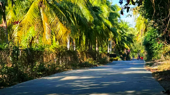 Hainan Lingshui round-trip + Nanwan Monkey Island + Danjia Fishing Village + Danjia Museum + Clearwater Bay day tour