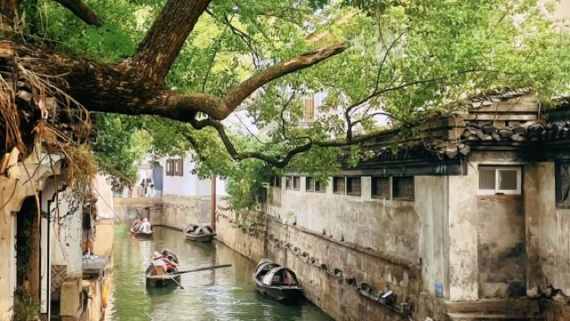 紹興魯迅故里景區+三味書屋+百草園+柯岩鑒湖純玩無購物一日遊