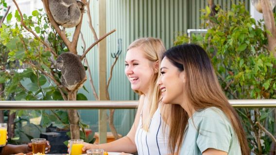 WILD LIFE Sydney: Desayuno con los koalas