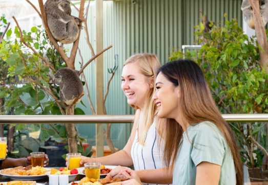 WILD LIFE Sydney: Breakfast with the Koalas AUD 90.22