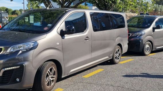 Paris: Shared Shuttle Transfer From CDG Airport to Paris Montparnasse Station