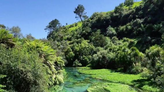 紐西蘭|藍泉+地熱+湖卡瀑布|包車日遊＆奧克蘭來回