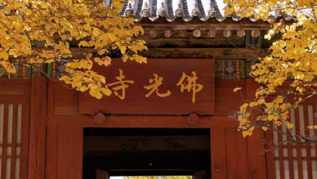 忻州出發佛光寺+南禪寺+洪福寺+延慶寺+廣濟寺一日遊