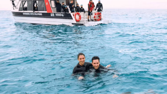 뉴질랜드 남섬 여행 아카로아 블랙 캣 유람선으로 돌고래 관찰/블랙 캣 아카로아 크라이스트처치에서 돌고래 만나기