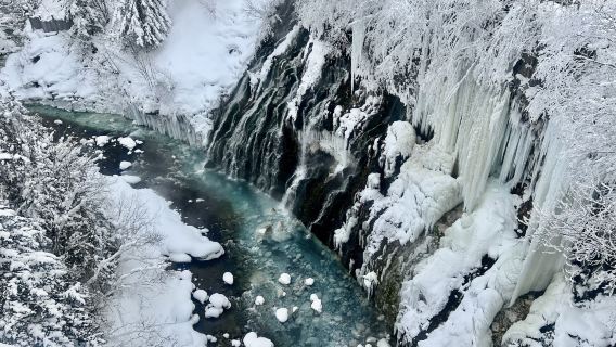 Hokkaido Biei: Panoramic Flower Gardens Shikisai-no-oka & Shirahige Waterfall & Fairy Terrace 1-day Tour | Guide in Chinese, English, and Cantonese