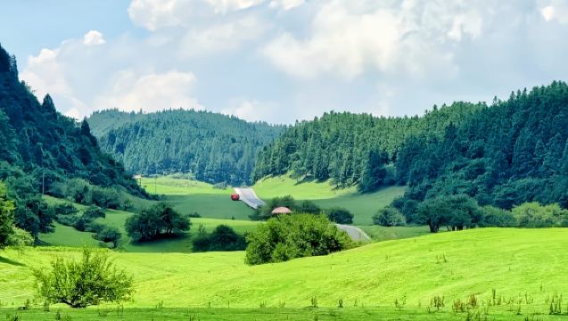 ทัวร์ส่วนตัวฉงชิ่งวันเดียว (พร้อมรถ): สะพานหินธรรมชาติและอุทยานภูเขานางฟ้า