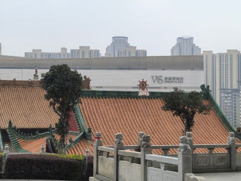 Wuhan Walking Tour: Baotong Temple Zen Experience & Wushang Dream Plaza