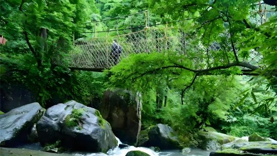 6人團-漢中漢江源一日遊