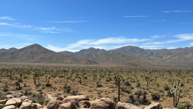 美國洛杉磯來回-約書亞樹國家公園【中文包車自由行】