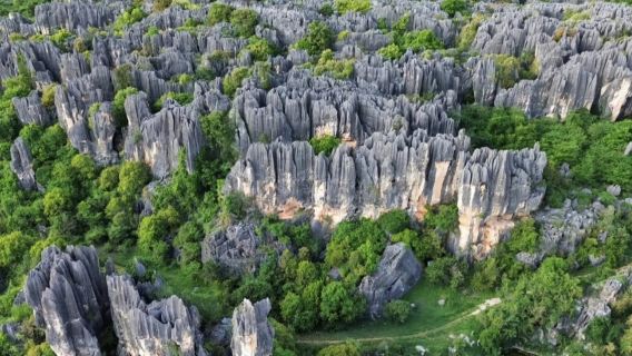 Selected | 1-day tour to Stone Forest Scenic Area [private charter & join-in tour packages optional]