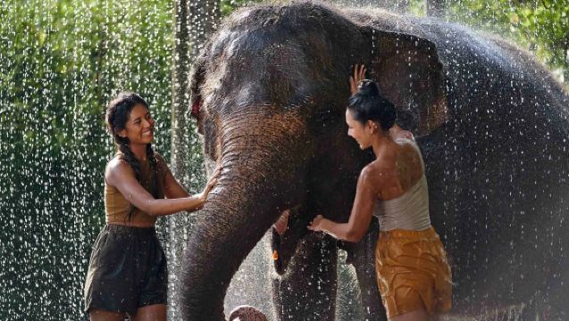 Bali Elephant Mud Fun Adventure - Hands-On Bathing & Up-Close Elephant Experience