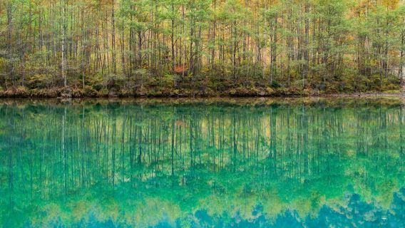Tour escursionistico di un giorno a Kamikochi | Incluso treno espresso e bus andata e ritorno (partenza da Shinjuku)