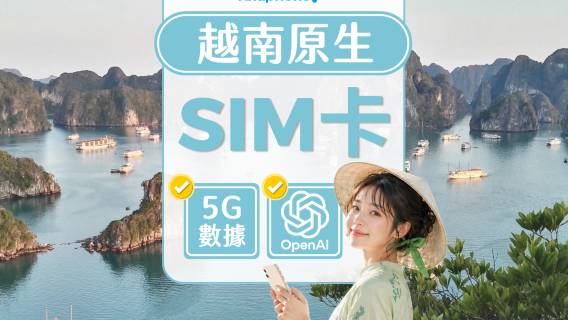 越南原生Vinaphone | 5G SIM卡 | 可用ChatGPT | 多套餐組合 | 胡志明/河內/峴港機場自取 | 自然日計算