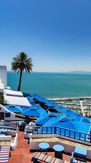 1-day tour from Tunis to Sidi Bou Said, Carthage ruins, Medina of Tunis and Baths of Antoninus (from 1 person)
