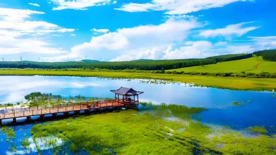 Eintägige private Tour durch den Saihanba-Park und die Wulanbutong-Grassteppe in Chengde, Weichang, Hebei
