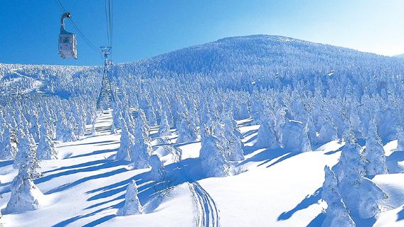 Departing from Sendai | Japan Frost-covered Trees in Zaō Mountains + Zao Fox Village 1-day in-depth tour
