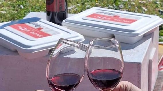 Lucca: Picnic in the vineyard with local specialties and wine