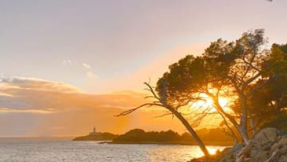 Mallorca, Alcúdia: Sunset on a traditional boat with tapas and wine